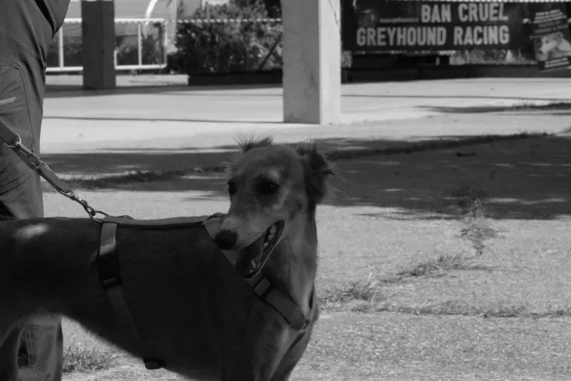 12052460 894535800630276 1180133631227598905 o