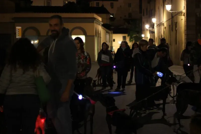 12052556 517884131713444 6407812597745406467 o1