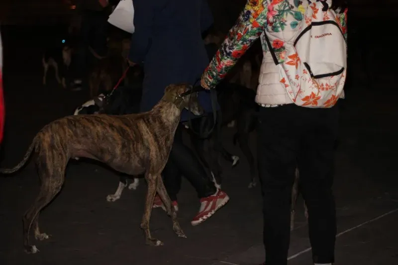 12052628 517884498380074 4627739382798545237 o