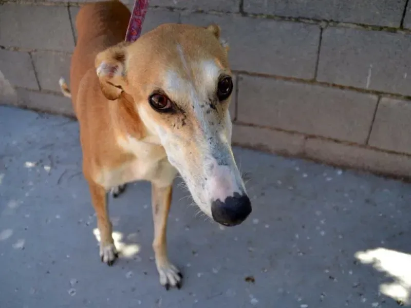 12053343 10205953772975838 425257871 n