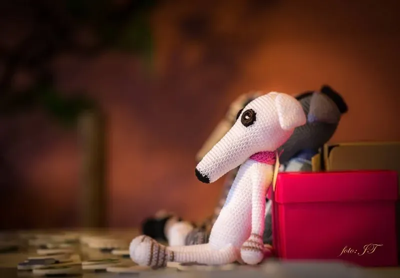 12062514 981827938553276 1083671512 o