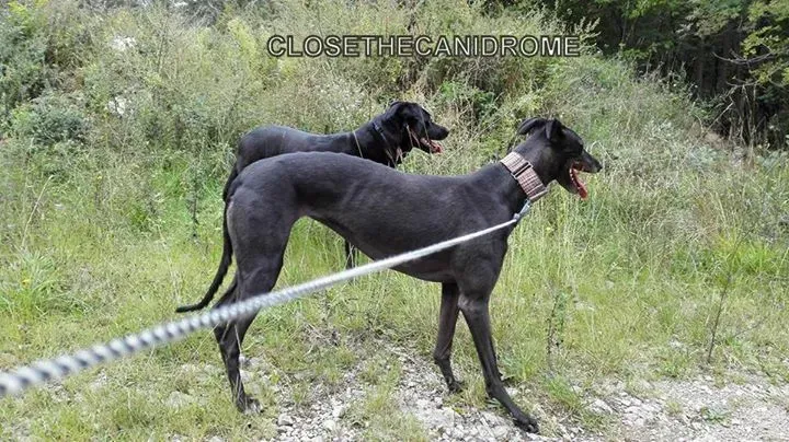 12063325 10204950855706817 3603532543425835384 n