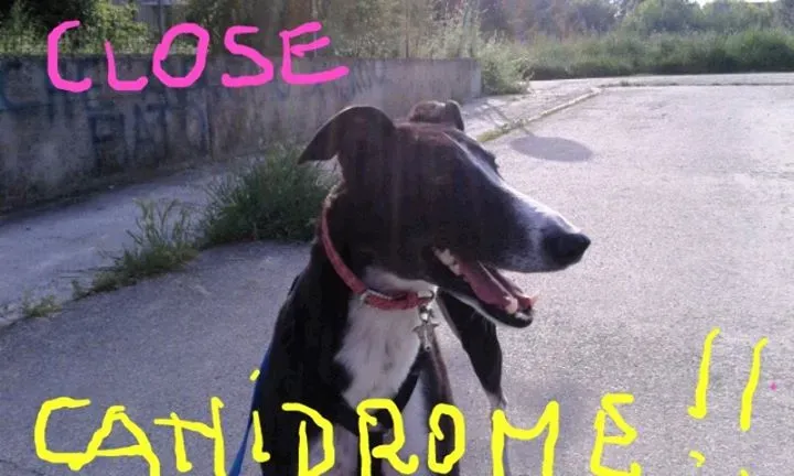 12063345 1641843372759857 4942937128460228781 n