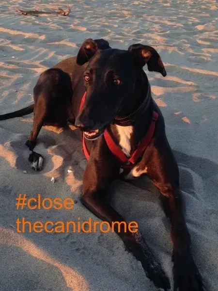 12063362 421670344692644 1959785867318377838 n