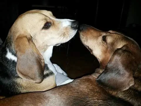 12063399 955057987900940 3027628561466926151 n