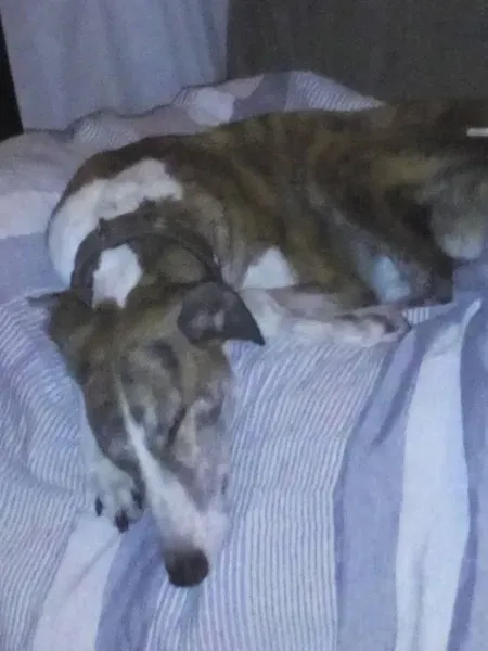 12063506 1222377941123547 9053994554734942689 n