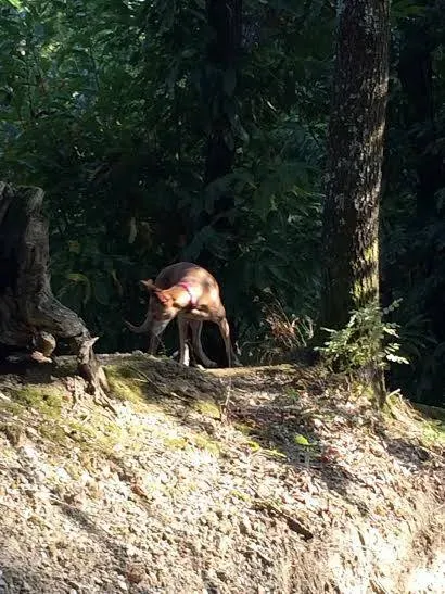 12063515 764288240363848 6473859644380651651 n