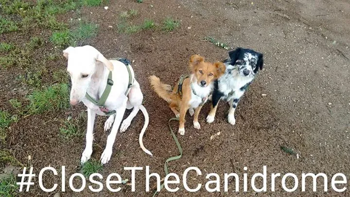 12063519 1655953577949954 7561653552992707090 n