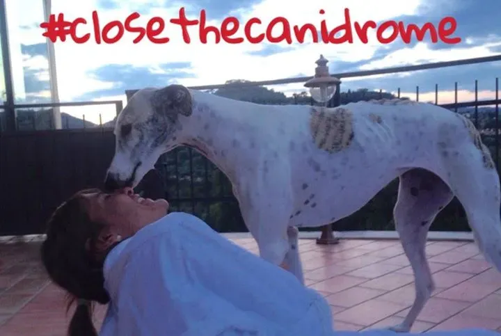 12063543 10205948851252798 4135813866585156173 n