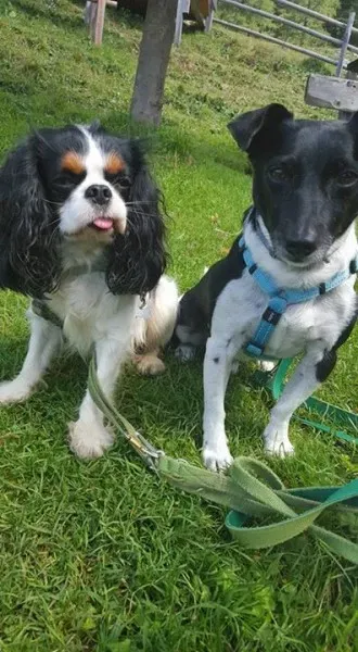 12063607 10204554313127037 6890653833729350822 n