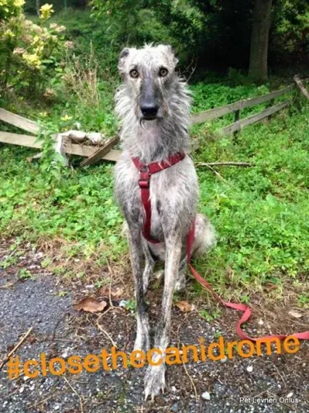 12063610 527714717383797 4126718718888162096 n