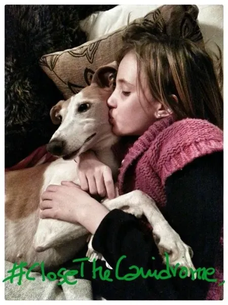 12063750 1603691586563806 5450596578670397632 n