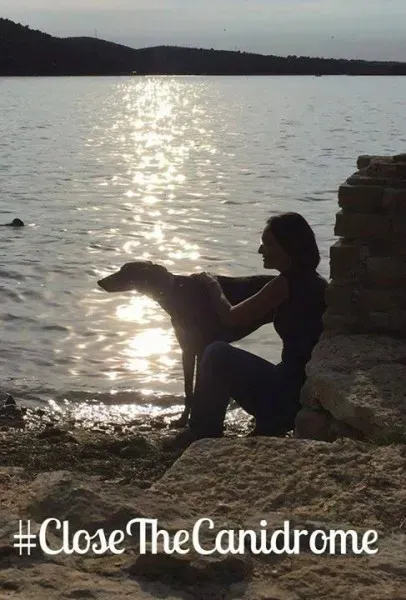 12063830 764338323692173 8521440206626538751 n