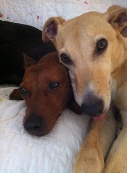 12063834 10205767159240193 2926218121328579486 n