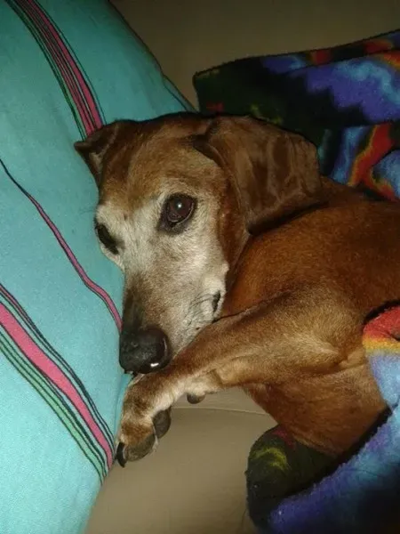 12063834 770388566416626 394223043684152711 n