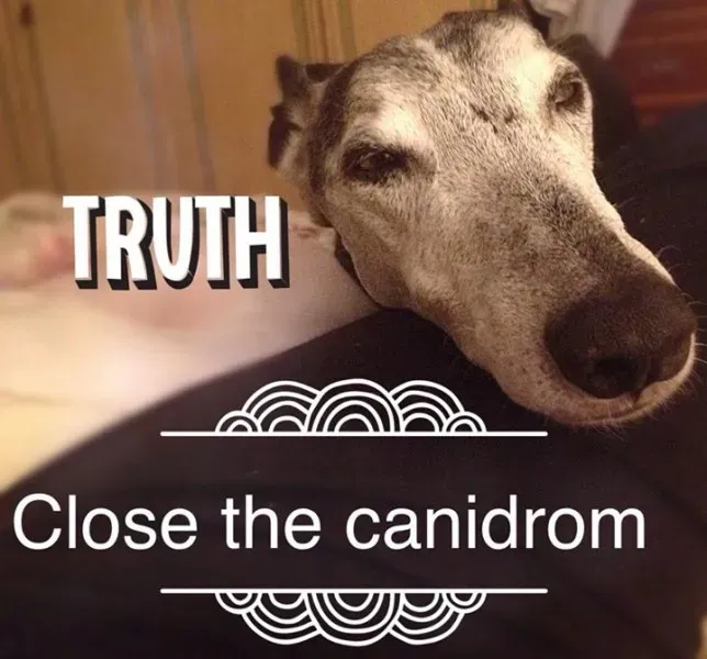 12063883 10206119742086406 216525777502878418 n