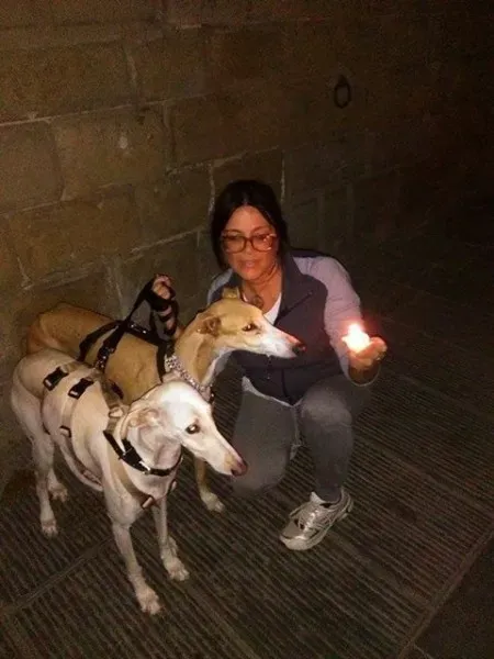 12065538 10205956603766606 5522137299321072837 n