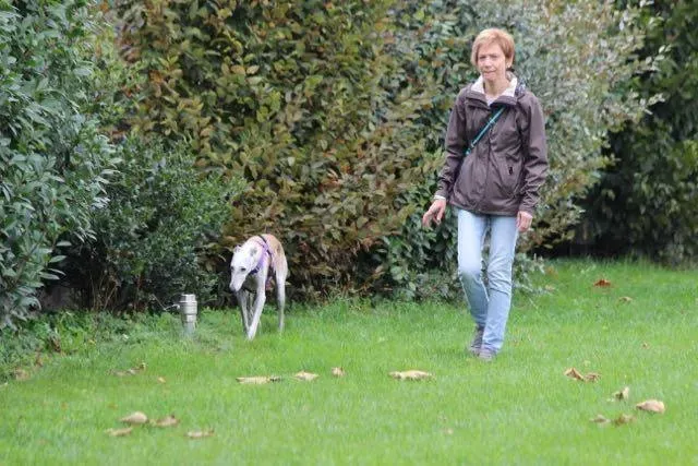 12065562 897464617004061 2918529027703622945 n