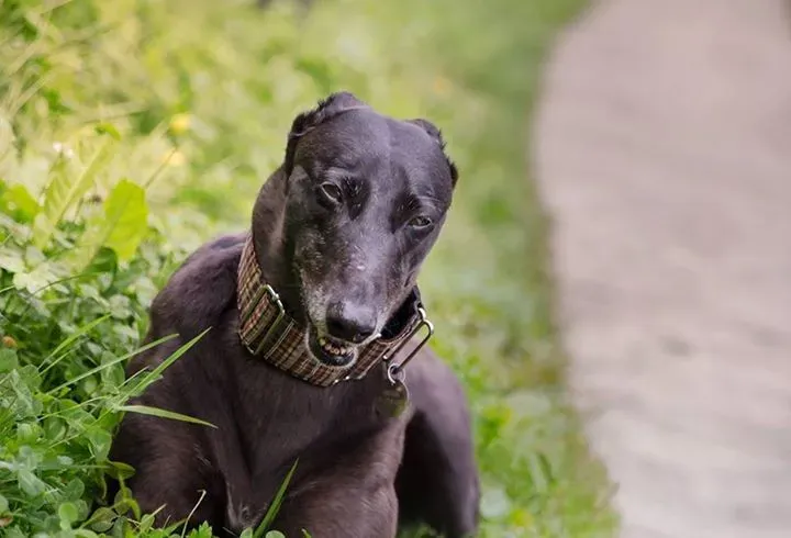 12065564 899491630120241 7983379728724884810 n