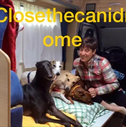 12065599 10204857072968605 2831473563180089402 n