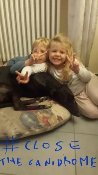 12065602 787214078054164 1233702925428781628 n