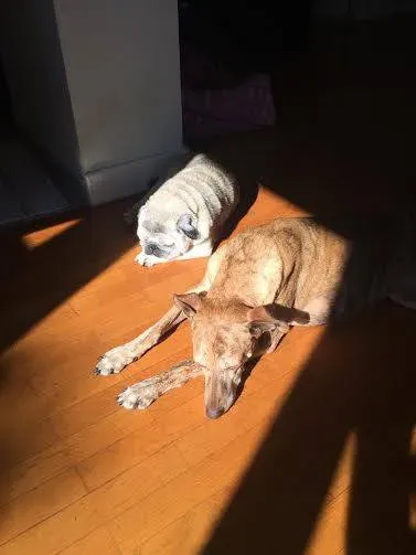 12065653 764288387030500 5064494693050551603 n