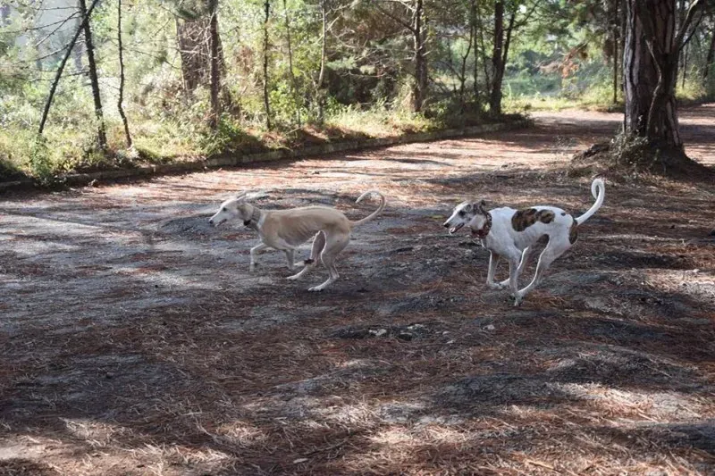 12065683 1485284865106698 8590502532060034518 n