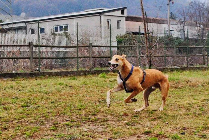 12065834 10207845047463032 3933428078304971721 n