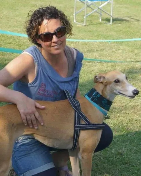 12065835 10204979716838653 5176851347838203514 n