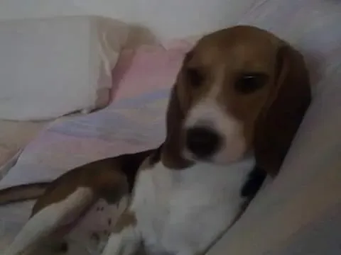 12066061 955695797837159 6898715988321170424 n