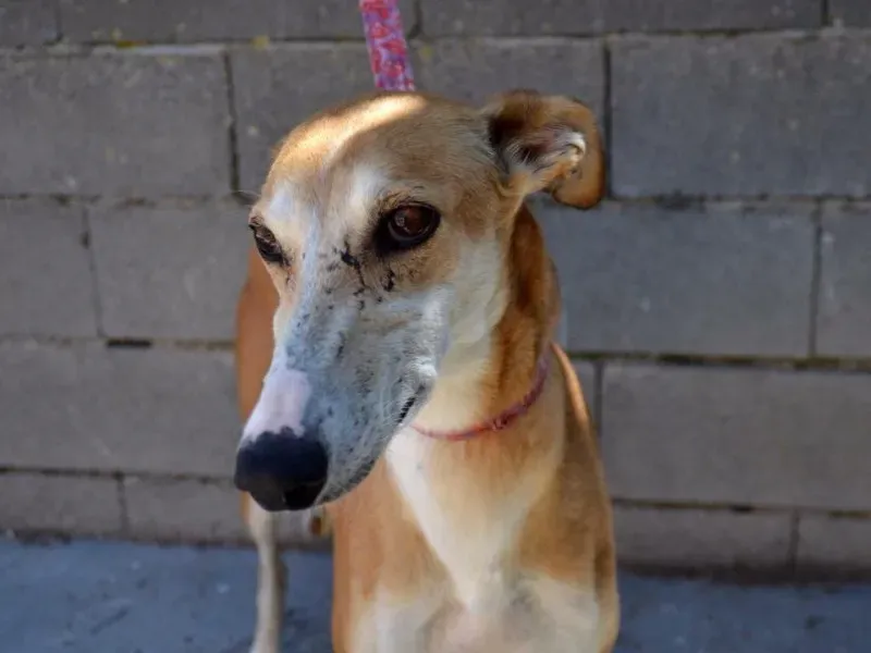 12067146 10205953772895836 828013120 n