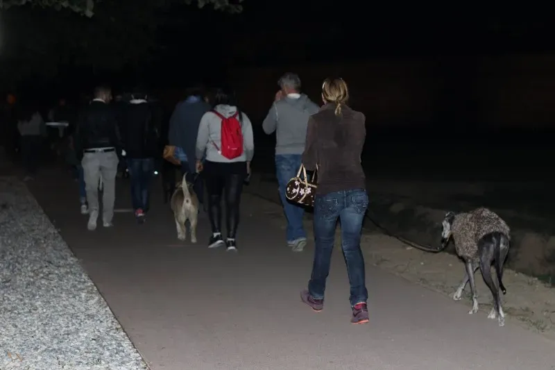 12068580 517883988380125 8523472228732468826 o