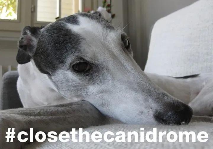 12068853 10206976534964858 5054851930076643511 o