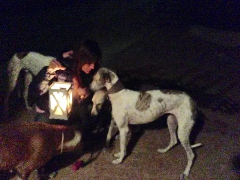 12068872 10205956613766856 813143639769010110 o