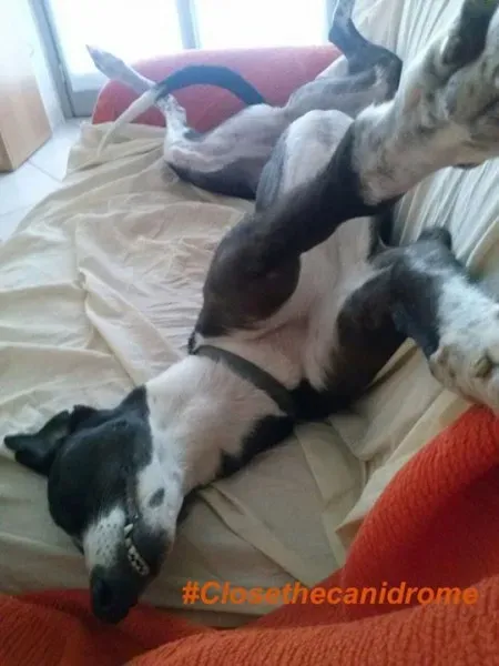 12072631 898548390229017 7452571335973874813 n