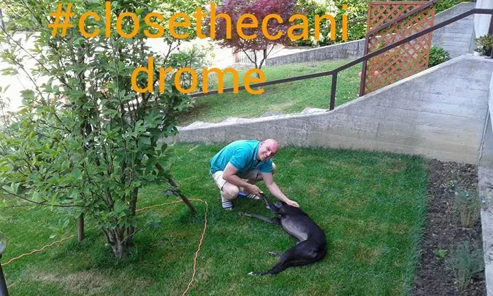 12072679 1512579885709109 3098871148565061847 n