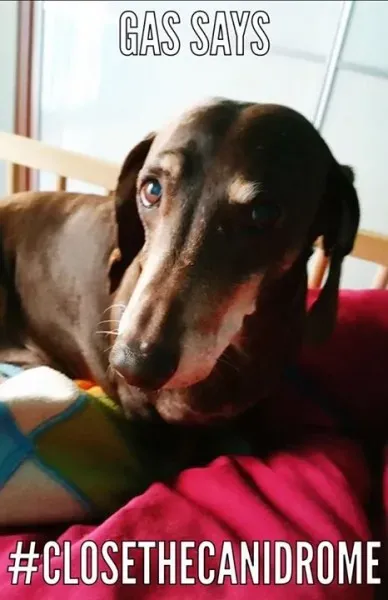 12072691 10207288238821657 3032919957312882194 n