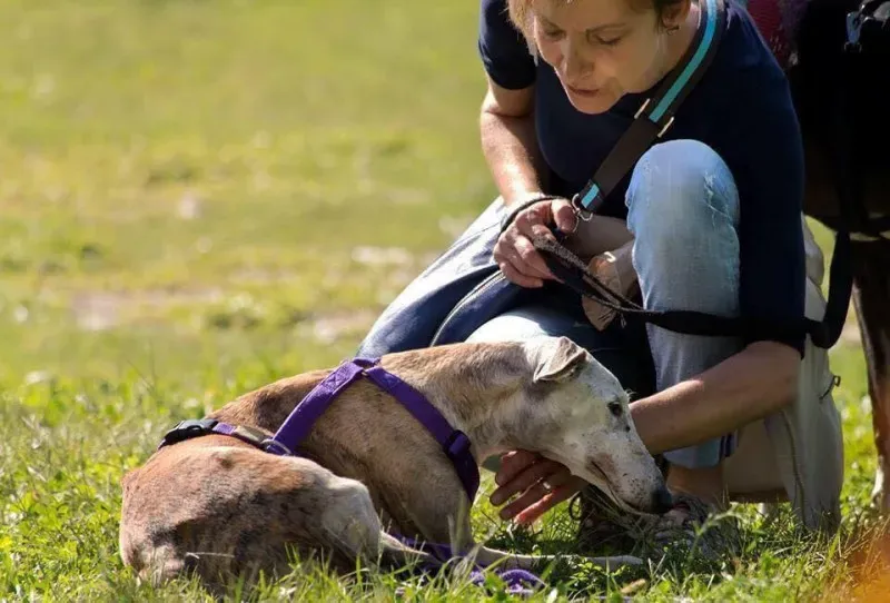 12072703 762041637255581 9196093967439388920 n