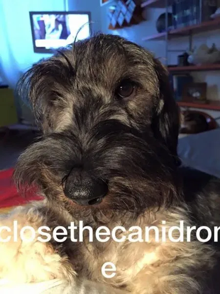 12072736 10207703335051178 2793534197160340550 n