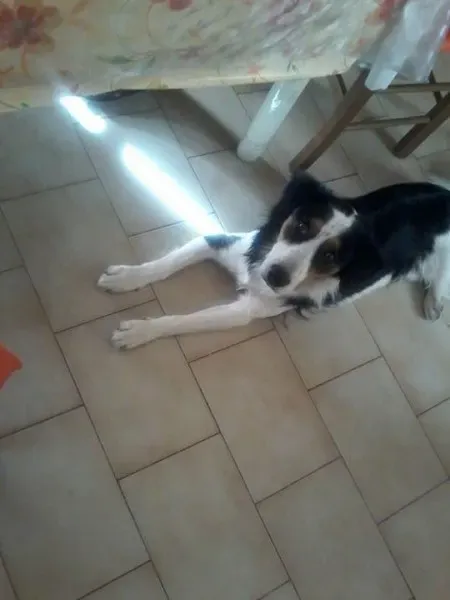 12072742 134819750205886 6499813964897174959 n