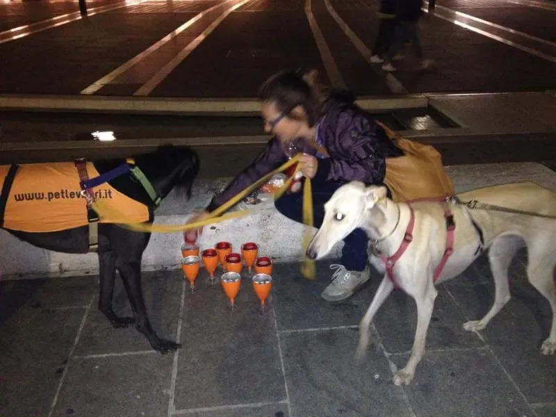 12072777 10206352295864081 2934364919995392901 n