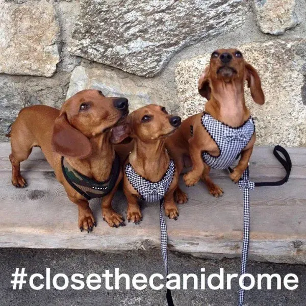 12072811 926504397440455 3068539910241065153 n