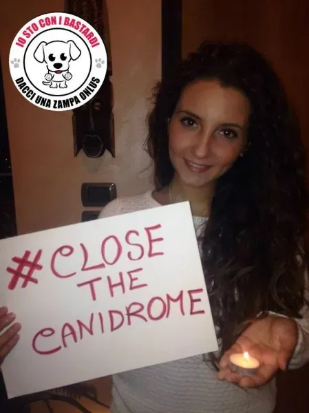 12072828 430148080527301 6101255166968731364 n