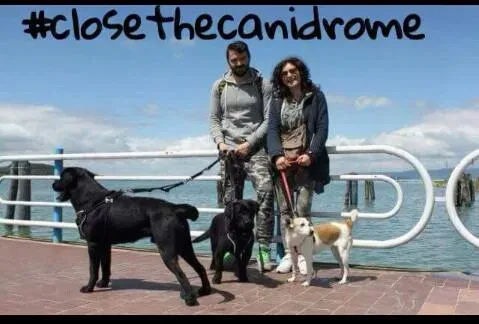 12074573 1554764148096164 4340833346231418328 n