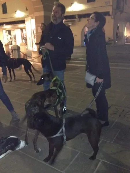 12074702 10206352292023985 2372994219552480551 n