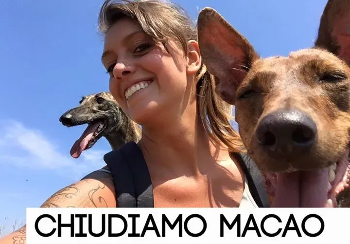 12074708 900582973360825 4782216949551190590 n