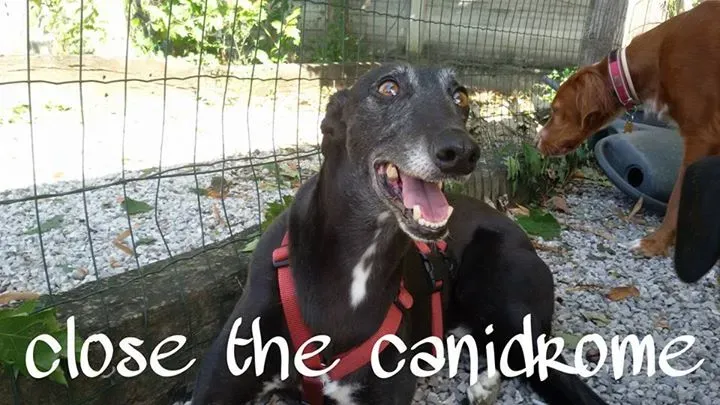 12074713 455955967923952 5706798972815413475 n