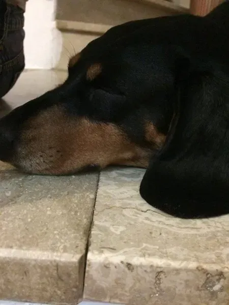 12074821 749172725209103 6854898489790455817 n