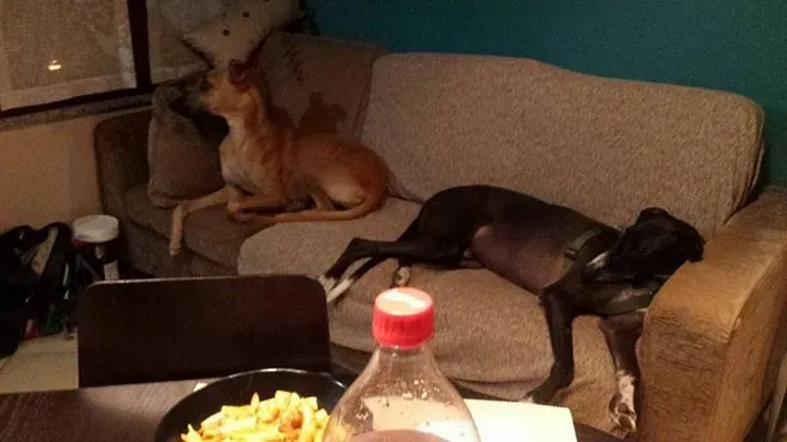 12074826 1179193435430346 6760693718207254154 n 1