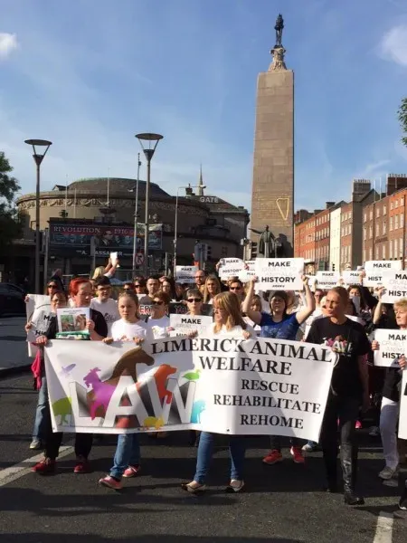 12074881 1087789137905451 5924559364171934097 n